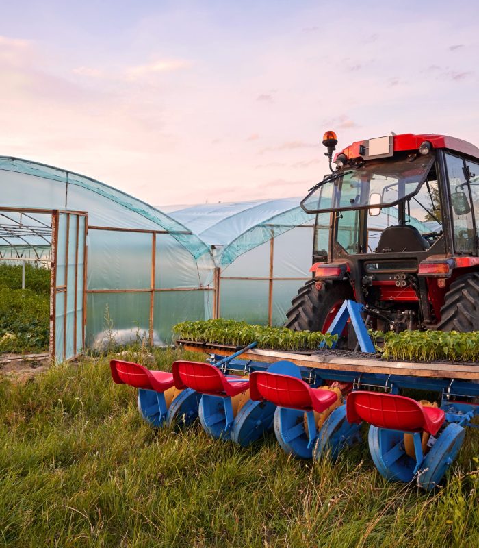 Manual seedling planter mounted to a tractor in front of greenho